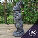 Small Peter Rabbit - Garden Ornament Mould | Brightstone Moulds