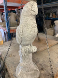 Large parrot ht 490 mm