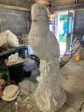 Large parrot ht 490 mm