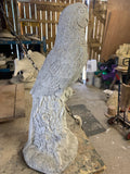 Large parrot ht 490 mm
