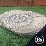 Ammonite Fossil - Garden Ornament Mould | Brightstone Moulds