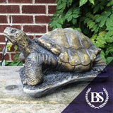 Tortoise One - Garden Ornament Mould | Brightstone Moulds