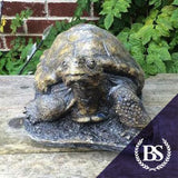 Tortoise One - Garden Ornament Mould | Brightstone Moulds